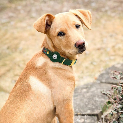 AirTag Dog Collar for Small Medium Large Breed - Image 7