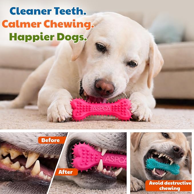 ASPCA 2-Pack Spiky TPR Puppy Teether Bones – Vanilla-Scented Teething Toys - Image 7