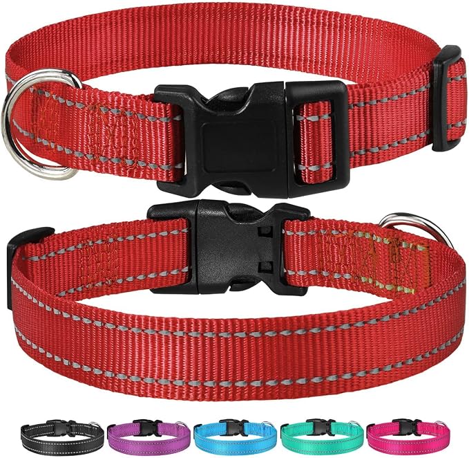 Reflective Dog Collar with Buckle Adjustable Safety Nylon Collars - Image 6