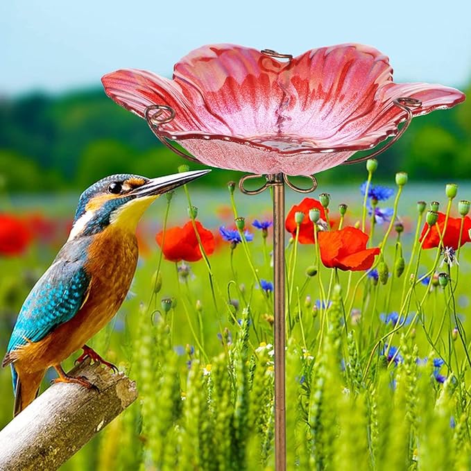 MUMTOP Bird Baths for Outdoors Glass Bird Bath Bowl Outdoor Bird Feeder Flower - Image 6