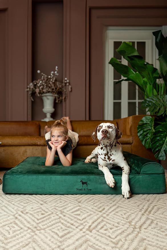 NOAH & PAW XL Dog Bed, Orthopedic Large Dog Beds, Eggshell Memory Foam Infused - Image 2