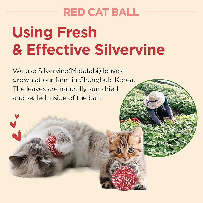 JAYU PET Red Cat Ball - Image 7