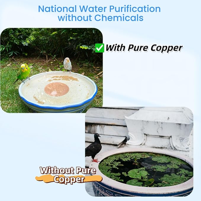 Bird Bath Purification Disk, 99.99% Copper Disc - Image 2
