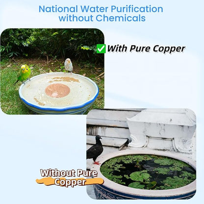 Bird Bath Purification Disk, 99.99% Copper Disc - Image 2