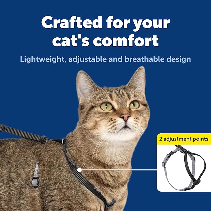 PetSafe Come with Me Kitty Harness and Bungee Leash - Image 3
