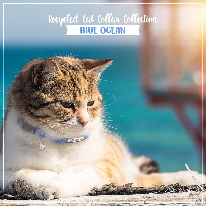 Pawtitas Recycled Blue Reflective Cat Collar – Eco-Friendly Breakaway Safety - Image 9