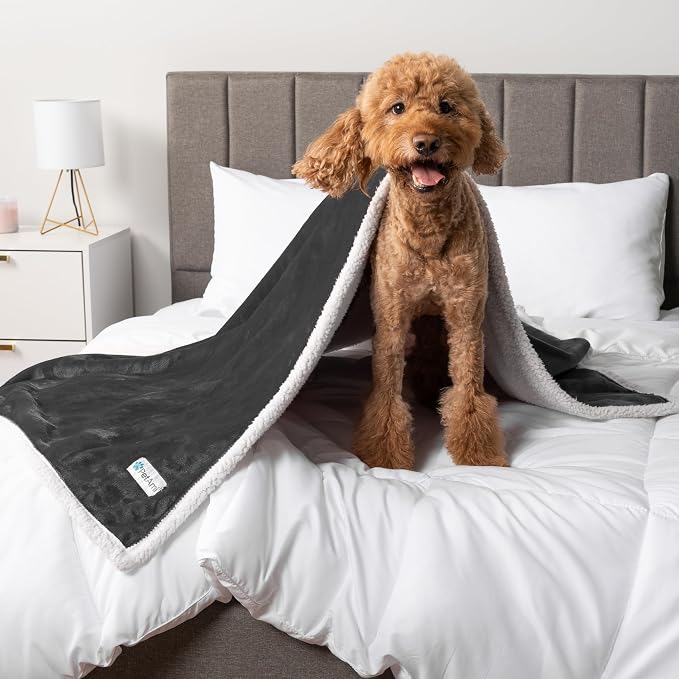 PetAmi Waterproof Dog Blanket for Medium Large Dog Puppy Cat Throw for Couch - Image 8