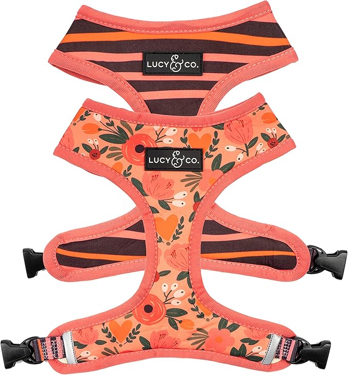 Lucy & Co. Reversible Dog Harness Walking Halter by LucyCo