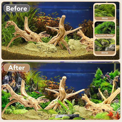 Jorewood Natural Large Spiderwood Driftwood - Image 7