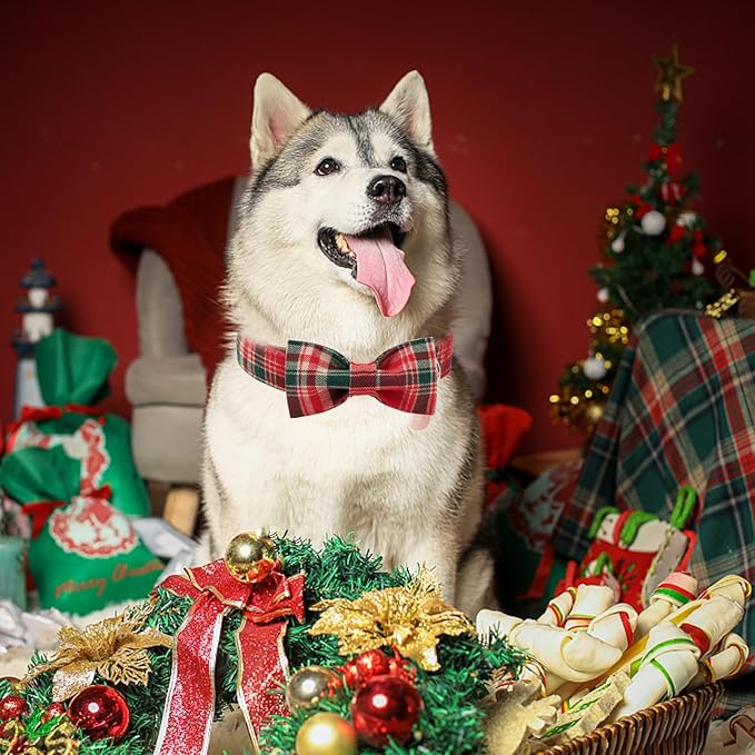 Christmas Plaid Dog Collar - Image 6