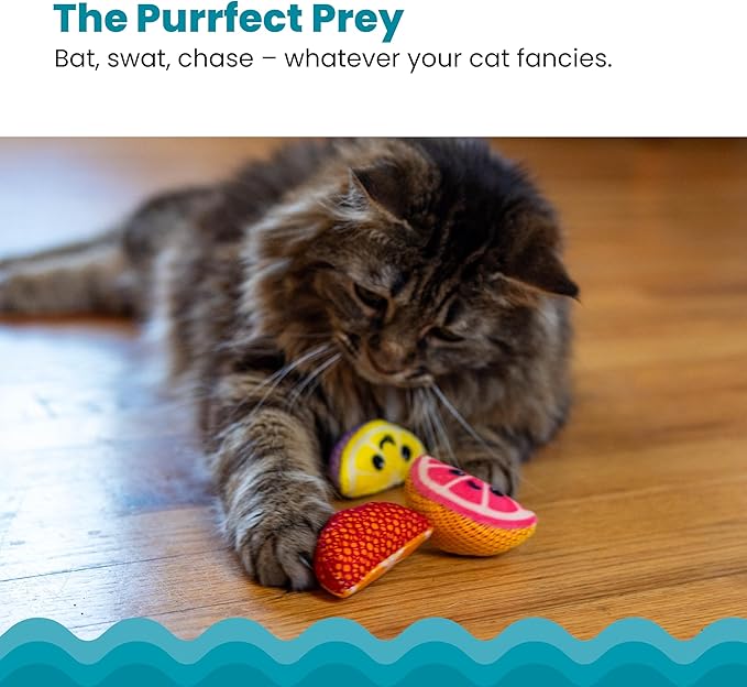 Catstages Dental Fruit Wedges 4 Pk, Soft and Textured Catnip Chew Toys That - Image 4