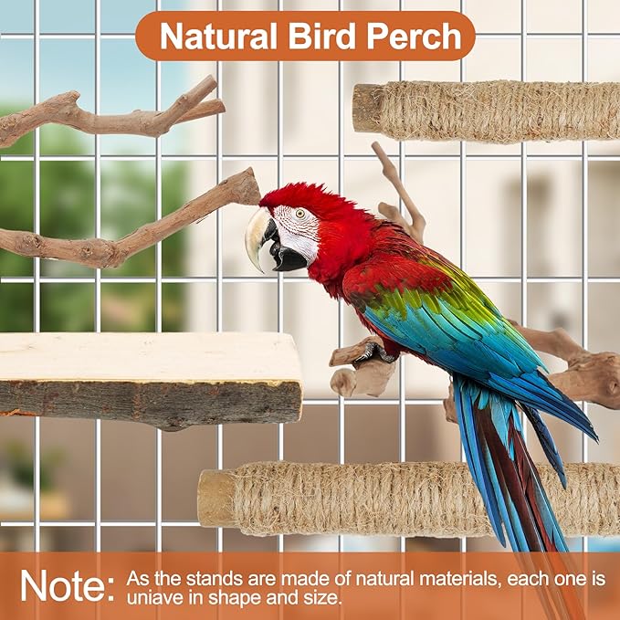 Bird Perch Stand, Pole Standing Natural Wood Bird Perch Set 5PCS Paw Grinding - Image 4