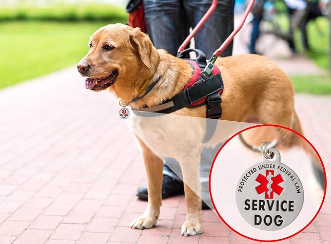 Service Dog Tag Double Sided - Image 8