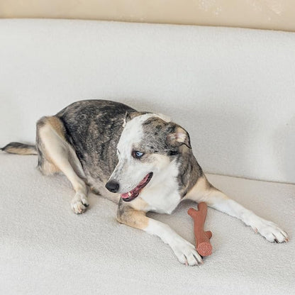 SPOT Bam-Bones Plus Branch -Bamboo Fiber & Nylon, Durable Long Lasting Dog Chew - Image 12
