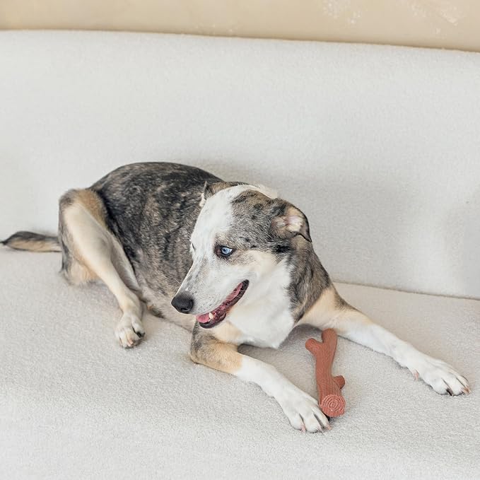 SPOT Bam-Bones Plus Branch -Bamboo Fiber & Nylon, Durable Long Lasting Dog Chew - Image 2