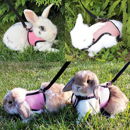 Small Pet Carrier Backpack Rabbit Carrier - Image 5