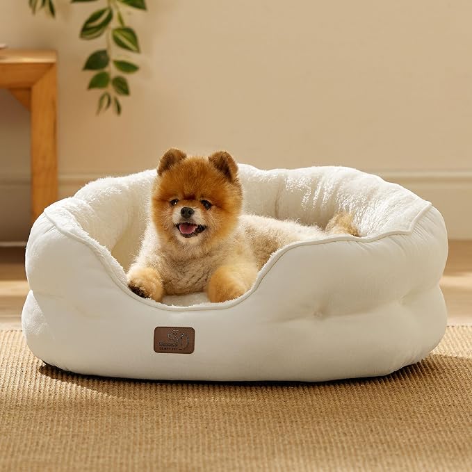 Bedsure Dog Beds for Small Dogs - Image 8