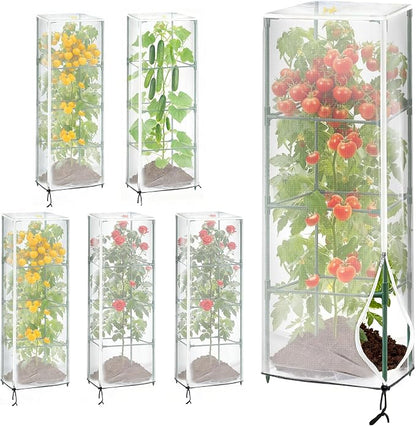 6 Pack 16.9 * 16.9 * 47.2inch Plant Cover by Unknown