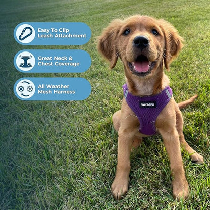 Best Pet Supplies Voyager Step-in Air All Weather Mesh Harness and Reflective - Image 5