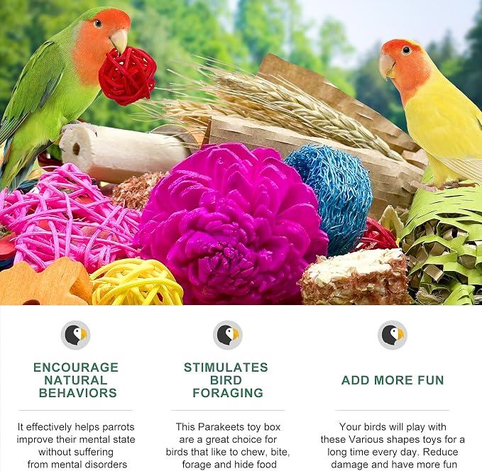 Natural Bird Toy Foraging Parrot Shredding Toys Box Conure Chewing Toys - Image 7