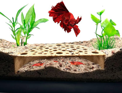 Shrimp Breeding Protector | Shrimp Breeding Cave Aquarium Tunnel | CTWPets by CTWPets