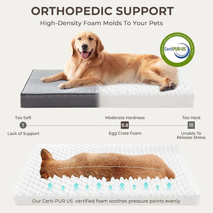 2-Pack XL Waterproof Dog Bed Large Size Dogs, Plush Cushion & Orthopedic - Image 3