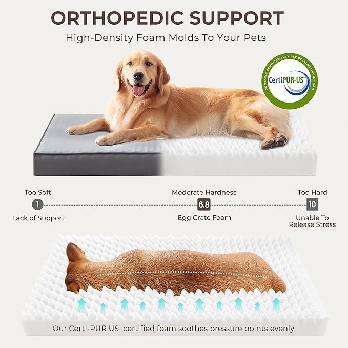 2-Pack Waterproof Dog Bed Medium Size Dogs, Plush Cushion & Orthopedic - Image 3