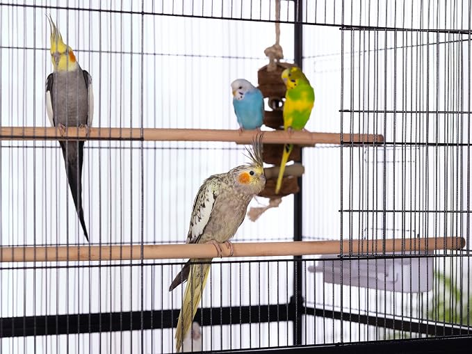 Prevue Pet Products Steel Bird Flight Cage - Image 2