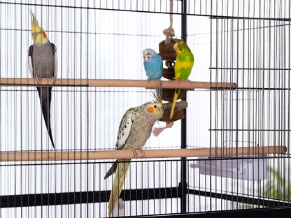 Prevue Pet Products Steel Bird Flight Cage - Image 2