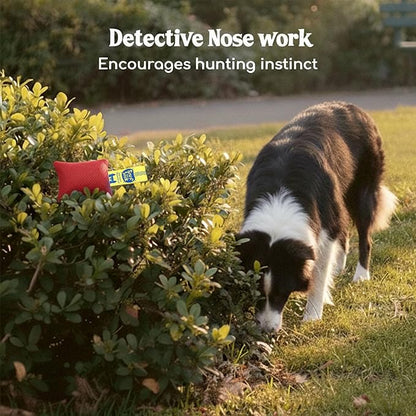 Race&Herd Original Dog Scent Training Kit, Scent Work Training Kit - Image 5