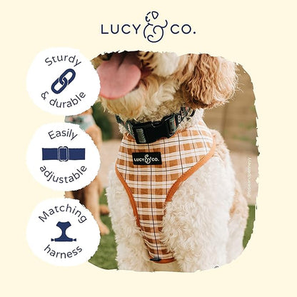 Lucy & Co. Take a Hike Adjustable Dog Collar- Cute Designer Pet Collar - Image 3