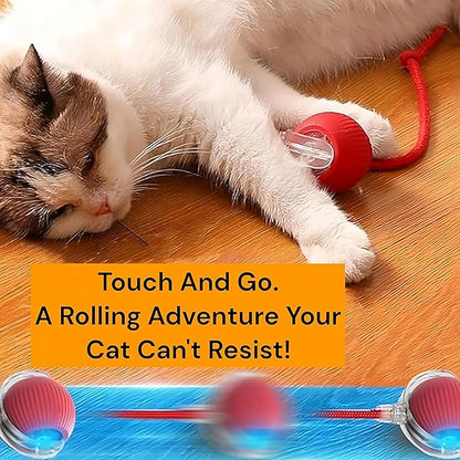 Interactive Electric Automatic Rolling Moving Rechargeable Self Play - Image 5