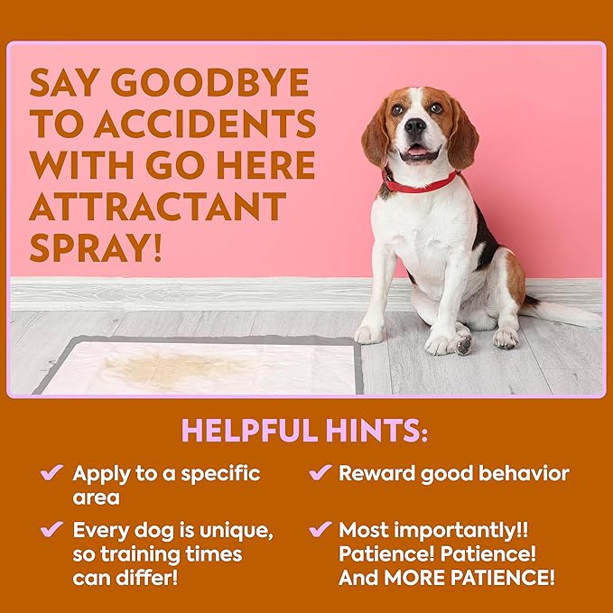 OUT! PetCare Go Here Attractant Dog and Puppy Potty Training Spray, Safe & - Image 6
