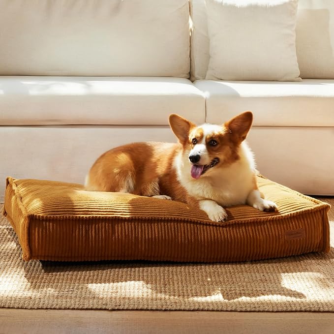 FUKUMARU 5.5-Inch Thick Dog Bed Mat, Washable Cat Bed by FUKUMARU