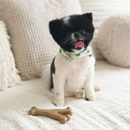 SPOT Bam-Bones Wishbone - Image 11