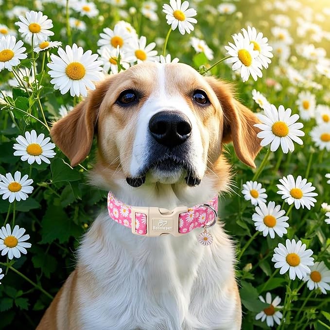 Summer Daisy Dog Collar, Cute Floral Adjustable Pink Dog Collars - Image 3