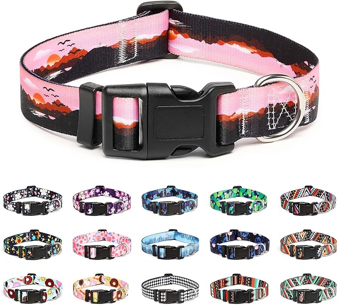 Mercano Adjustable Dog Collar by Unknown