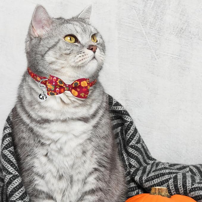 SCENEREAL Thanksgiving Cat Collar Breakaway, 3 Pack Kitten Collars - Image 7