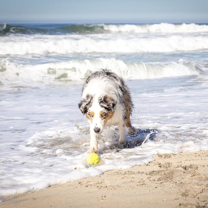 Hyper Pet K9 Kannon Dog Ball Thrower Launcher - Image 8