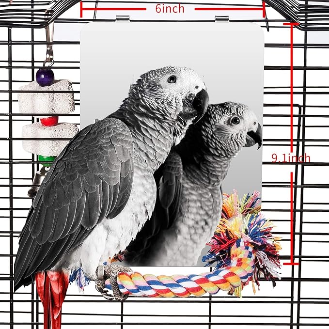 Colorday 9" Bird Mirror with Rope Perch, Bird Swing, Parrot Cage Toys by Colorday