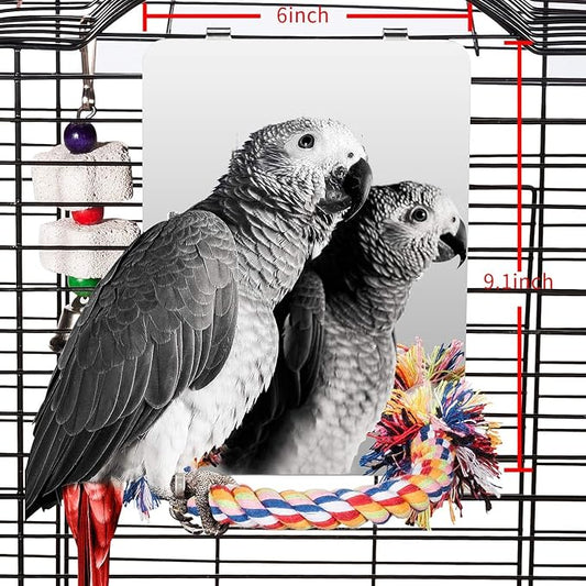 Colorday 9" Bird Mirror with Rope Perch, Bird Swing, Parrot Cage Toys by Colorday