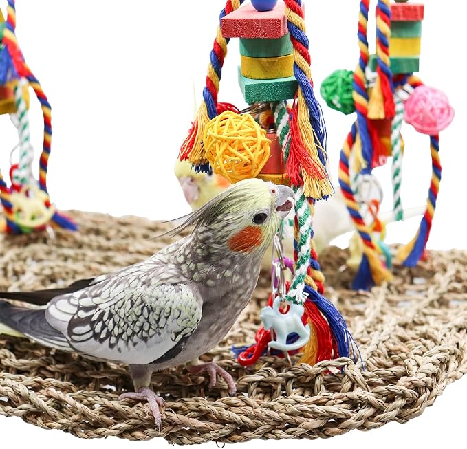 Large Bird Swing Toys, Colorful Parrot Seagrass Mat Hammock - Image 4