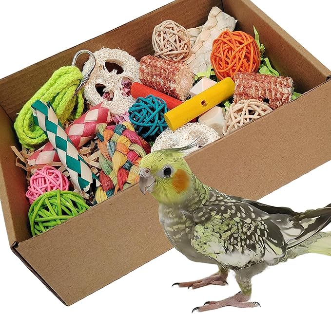 bird toys，Colorful Parrot Foraging and Tearing Toy Box by kencunay