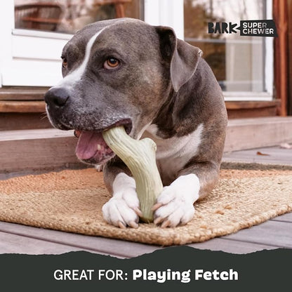 Barkbox Super Chewer Tough Dog Chew Toys - Image 5