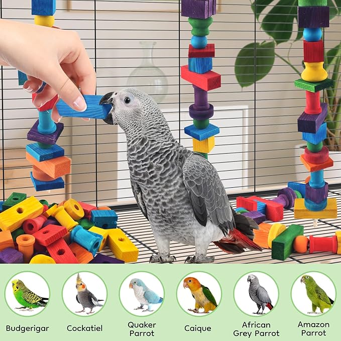 Bird Toys for Parrots, Natural Parrot Chew Training Foot Toy for Amazon African - Image 6