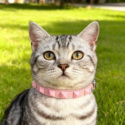 EXPAWLORER Halloween Leather Cat Collar - Image 7