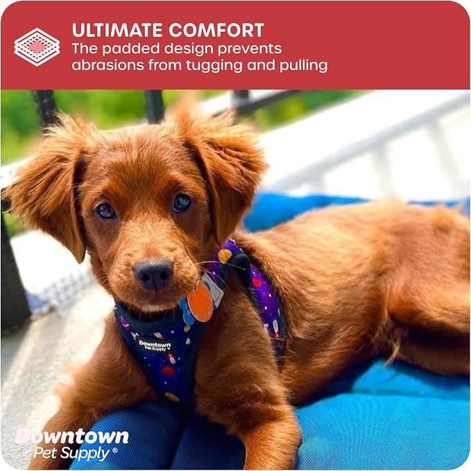 Downtown Pet Supply Step-in Dog Harness – No Pull, Adjustable Padded Mesh - Image 6