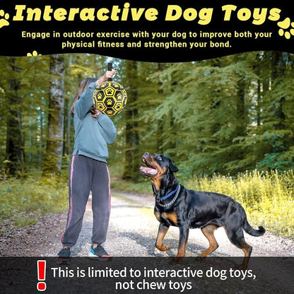 Diman Dog Balls Toys: Soccer Balls - Image 5