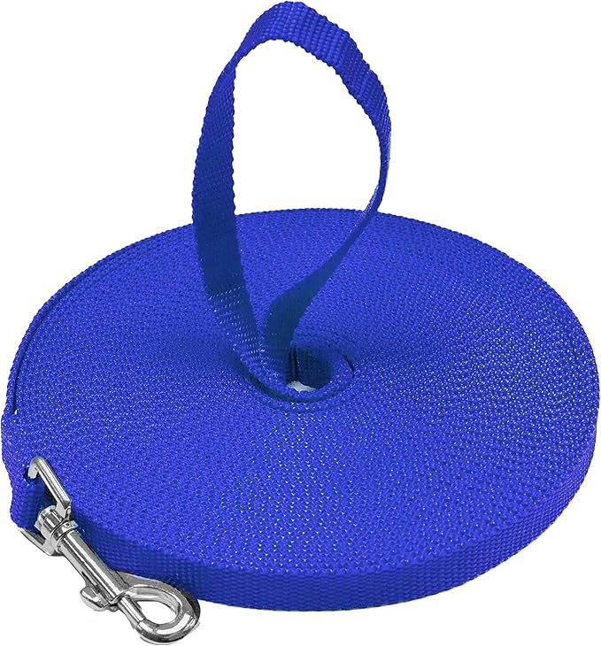 Long Dog Puppy Obedience Recall Training Agility Lead, Leash by DowntownPetSupply