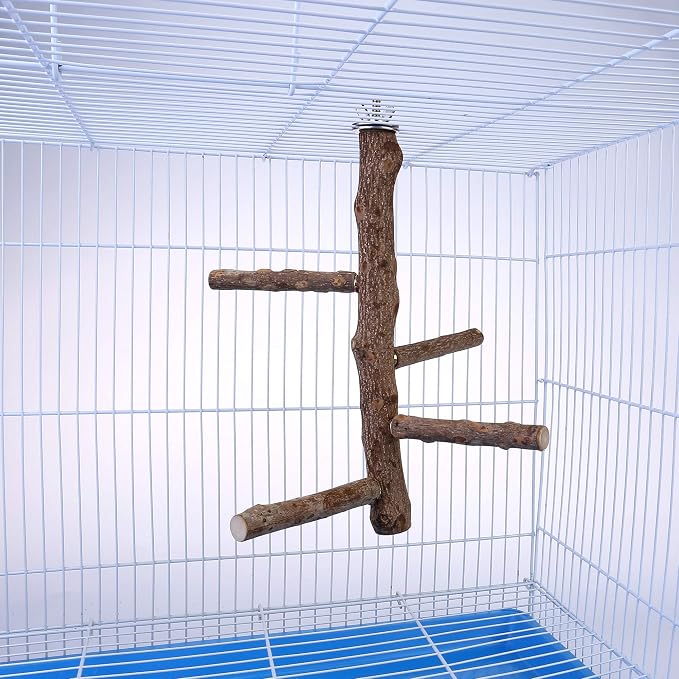 Bird Perch Stand Toy, Natural Wood Parrot Perch Bird Cage Branch Perch - Image 4